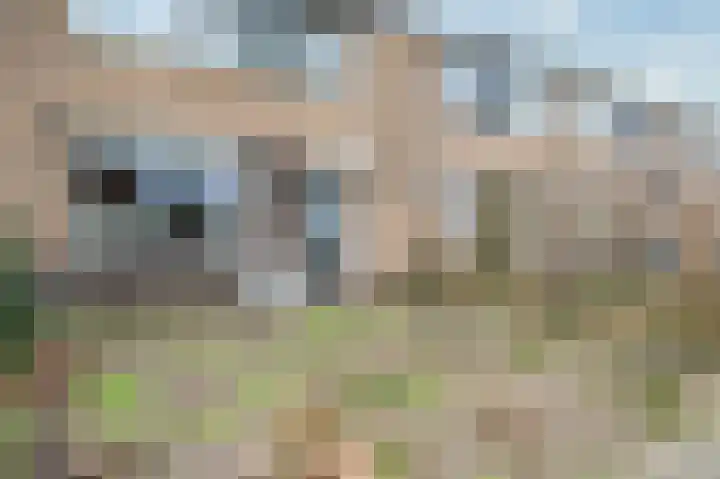 Randweg 30 Meppel thumbnail 6