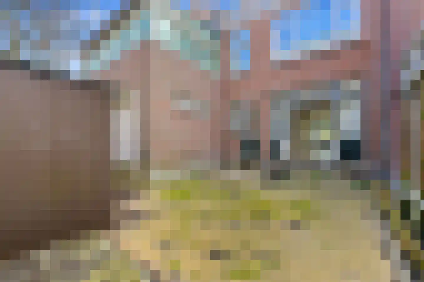 Randweg 38 A Rotterdam foto 3