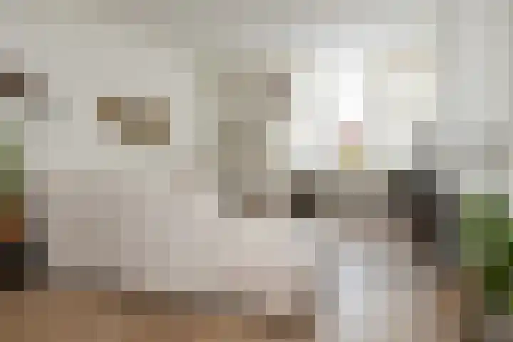 Randweg 6 Nunspeet thumbnail 12