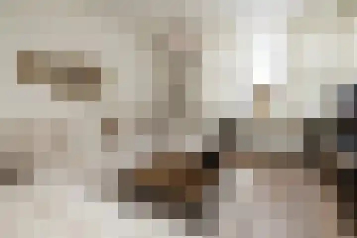Randweg 6 Nunspeet thumbnail 13