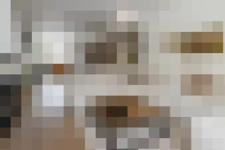 Randweg 6 Nunspeet thumbnail 16