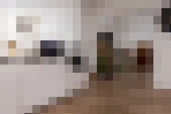 Randweg 6 Nunspeet thumbnail 19