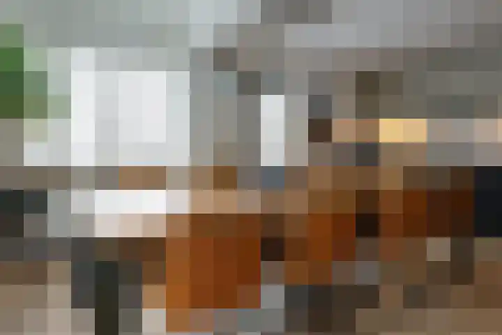 Randweg 6 Nunspeet thumbnail 23