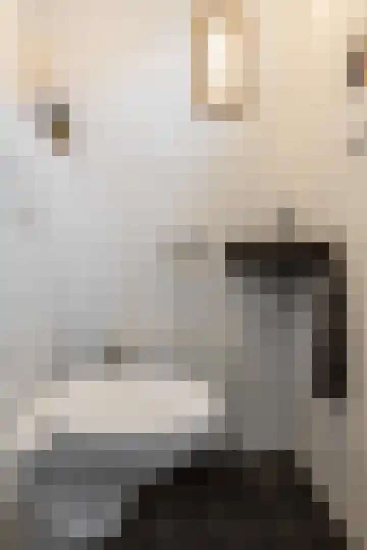 Randweg 6 Nunspeet thumbnail 28