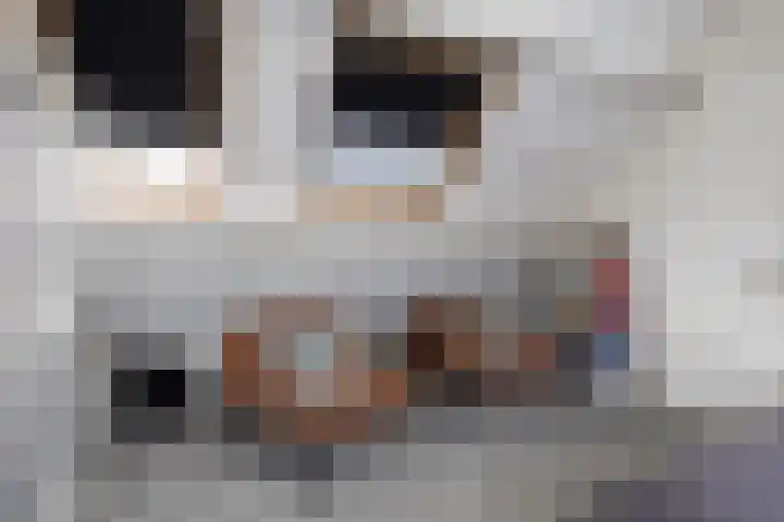 Randweg 6 Nunspeet thumbnail 39