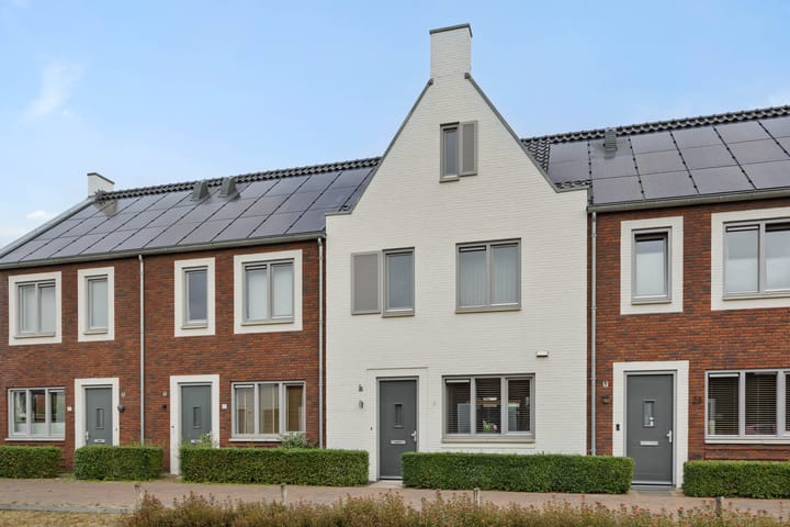 Ranonkel 21 in Vlijmen foto