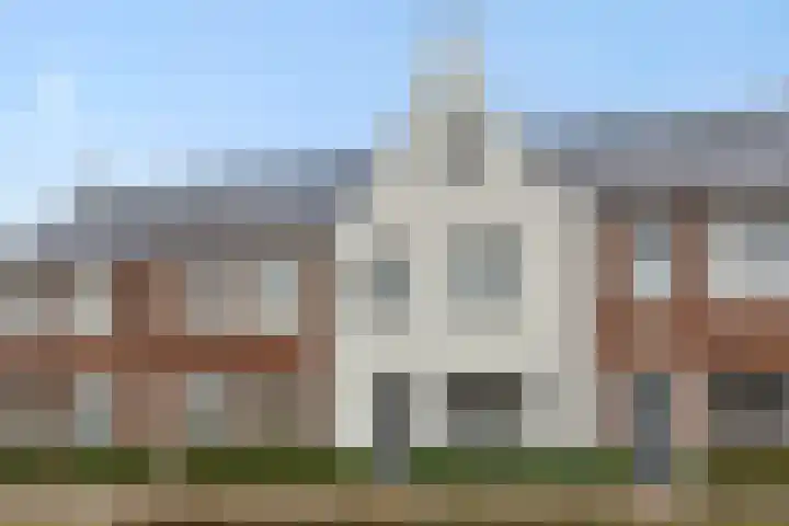 Ranonkel 21 Vlijmen