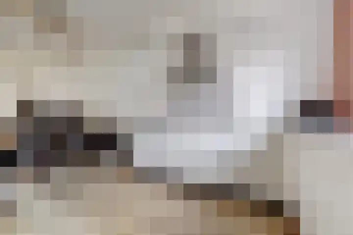 Ranonkel 22 Vlijmen thumbnail 11