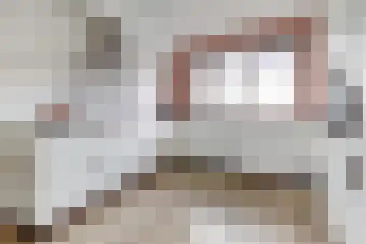 Ranonkel 22 Vlijmen thumbnail 12