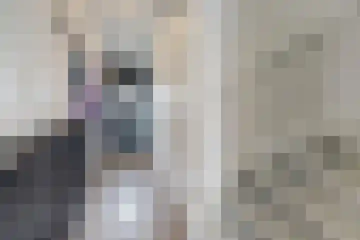 Ranonkel 22 Vlijmen thumbnail 17