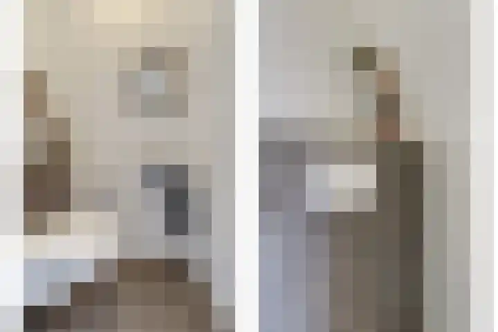 Ranonkel 22 Vlijmen thumbnail 18