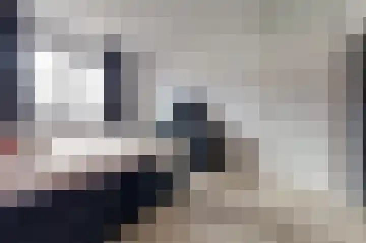 Ranonkel 22 Vlijmen thumbnail 21