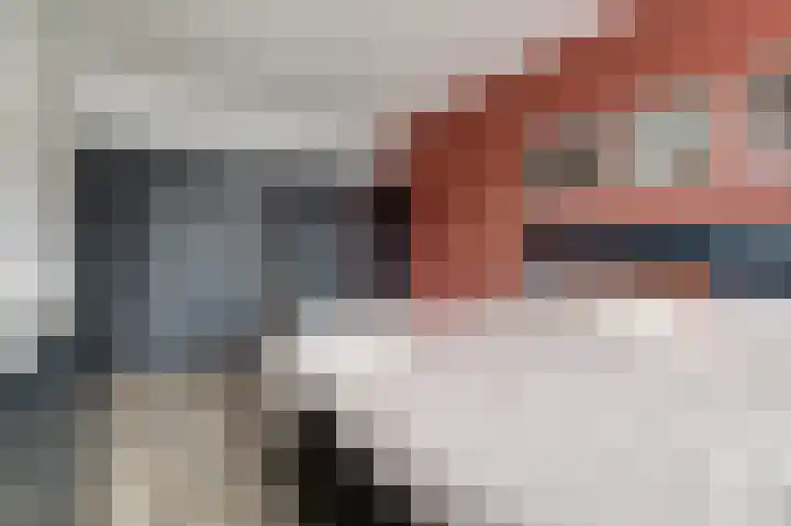 Ranonkel 22 Vlijmen thumbnail 22