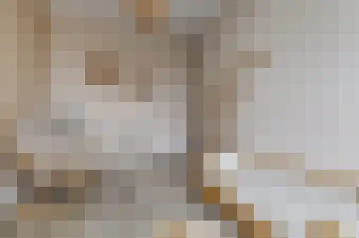 Ranonkel 22 Vlijmen thumbnail 25