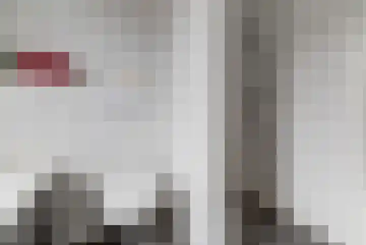 Ranonkel 22 Vlijmen thumbnail 29