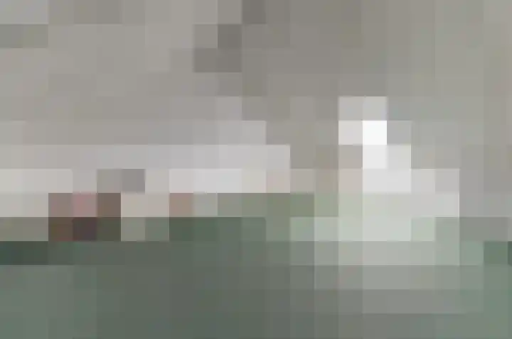 Ranonkel 22 Vlijmen thumbnail 34