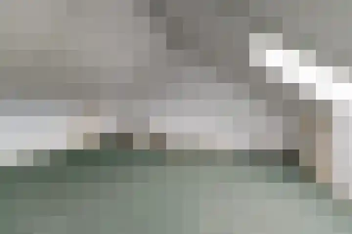 Ranonkel 22 Vlijmen thumbnail 35
