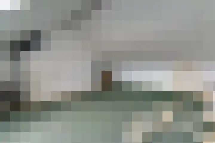 Ranonkel 22 Vlijmen thumbnail 37
