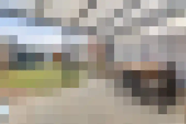 Ranonkel 22 Vlijmen thumbnail 39