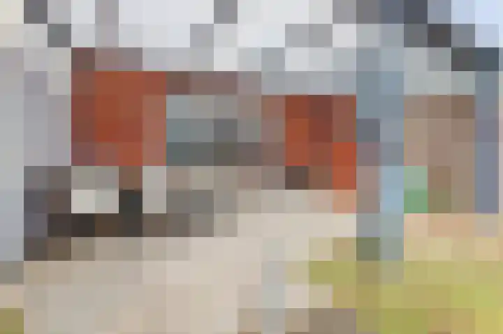 Ranonkel 22 Vlijmen thumbnail 41