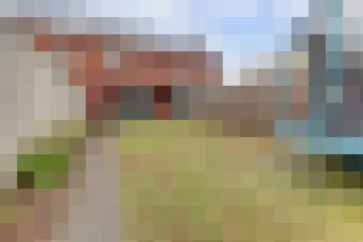 Ranonkel 22 Vlijmen thumbnail 42