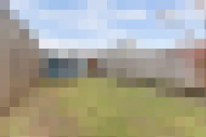 Ranonkel 22 Vlijmen thumbnail 46