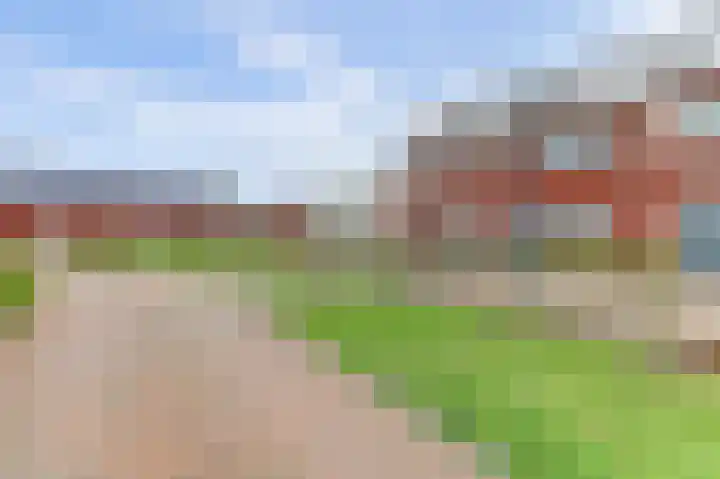 Ranonkel 22 Vlijmen thumbnail 51