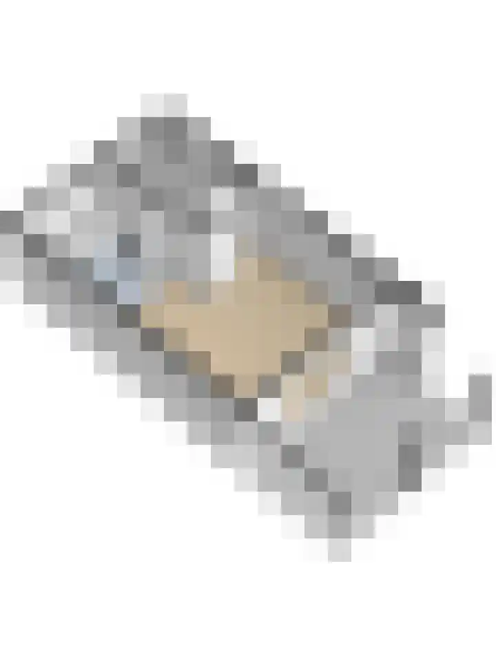 Ranonkel 22 Vlijmen thumbnail 56