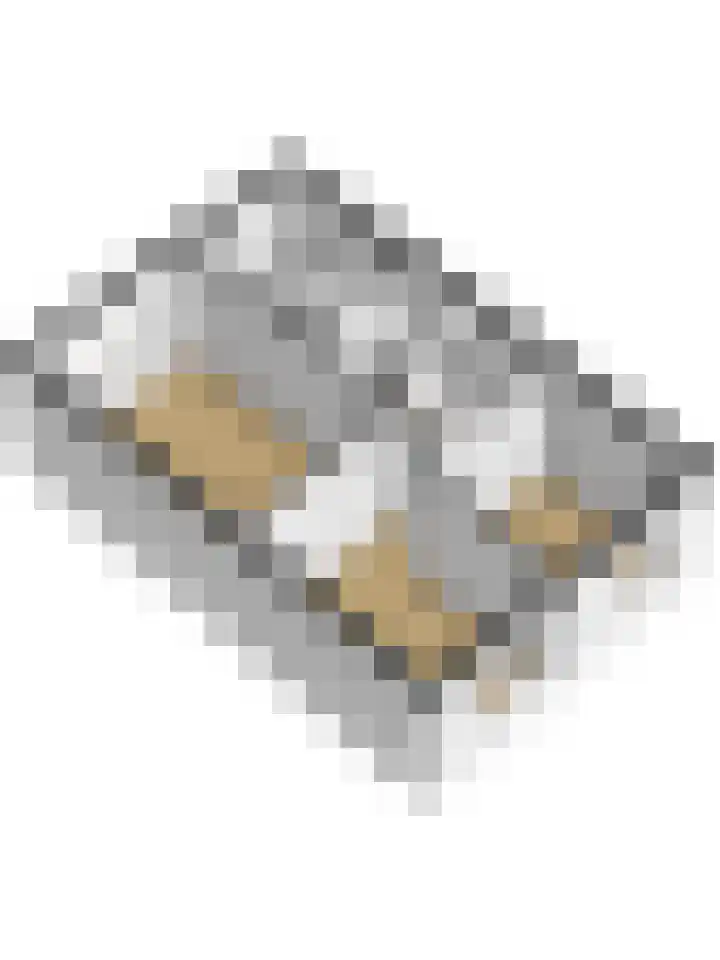 Ranonkel 22 Vlijmen thumbnail 58
