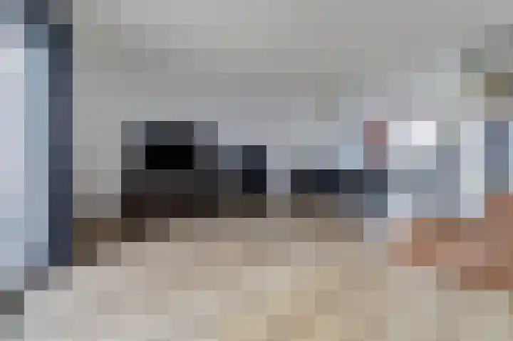 Ranonkel 22 Vlijmen thumbnail 6