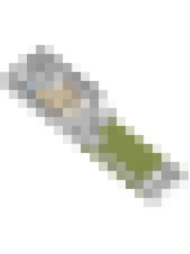 Ranonkel 22 Vlijmen thumbnail 62