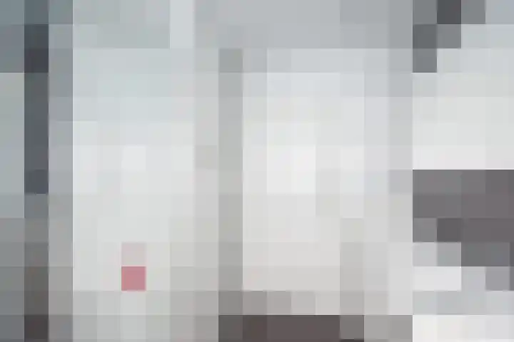 Ranonkel 27 Gendringen thumbnail 32