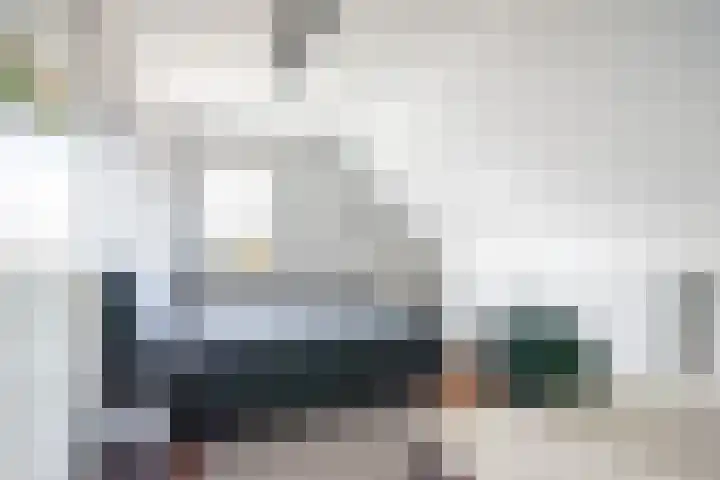 Ranonkel 27 Gendringen thumbnail 33