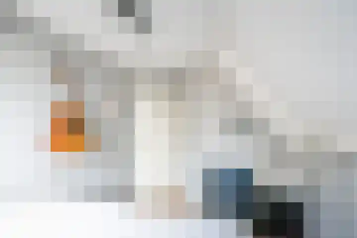 Ranonkel 27 Gendringen thumbnail 37