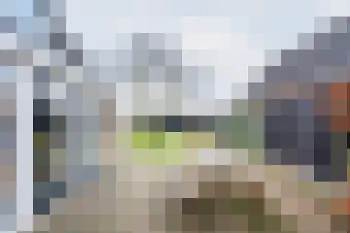 Ranonkel 27 Gendringen thumbnail 38