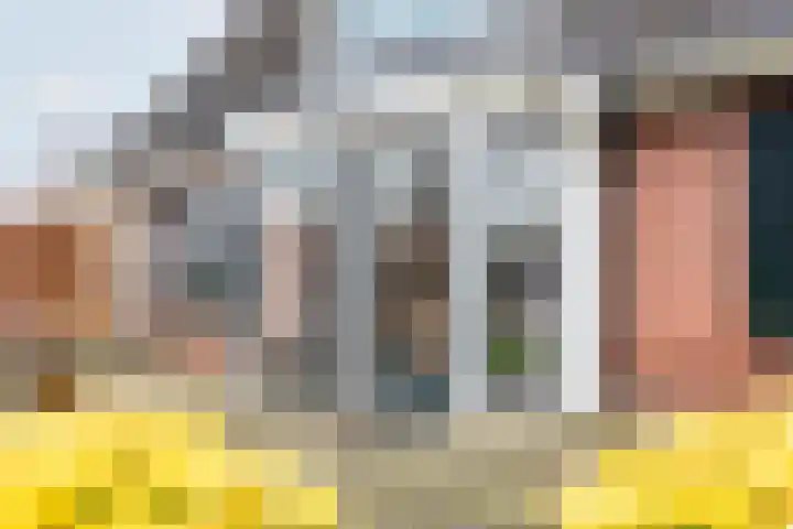 Ranonkel 27 Gendringen thumbnail 40