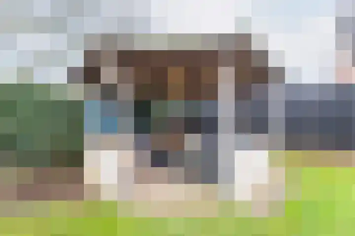 Ranonkel 27 Gendringen thumbnail 42