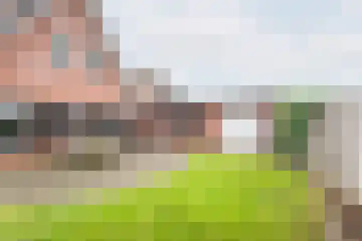 Ranonkel 27 Gendringen thumbnail 43