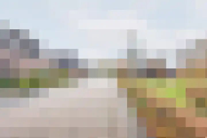 Ranonkel 27 Gendringen thumbnail 47