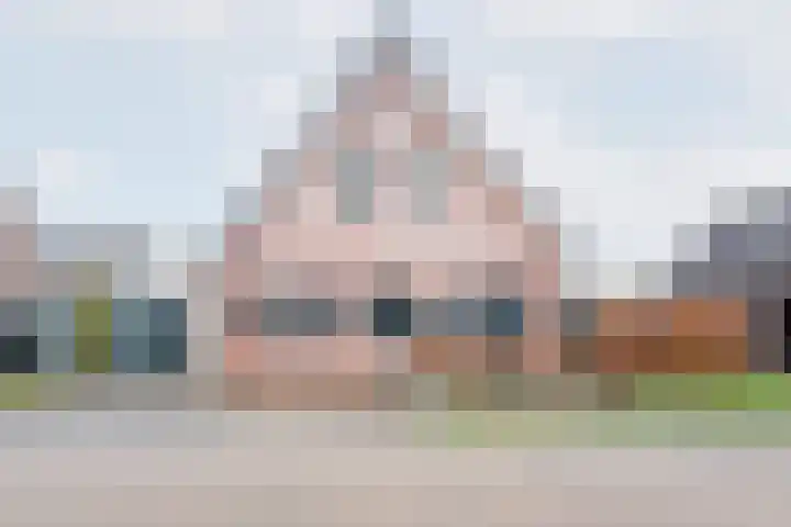 Ranonkel 27 Gendringen thumbnail 5