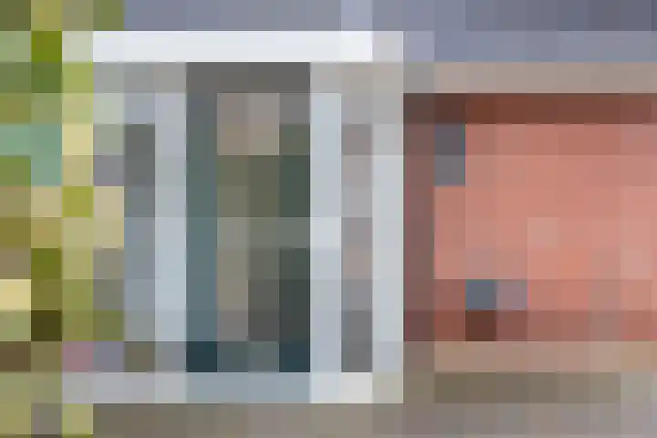 Ranonkel 27 Gendringen thumbnail 6