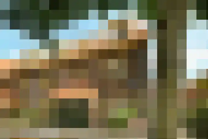 Ranonkelkade 6 B Amsterdam thumbnail 20