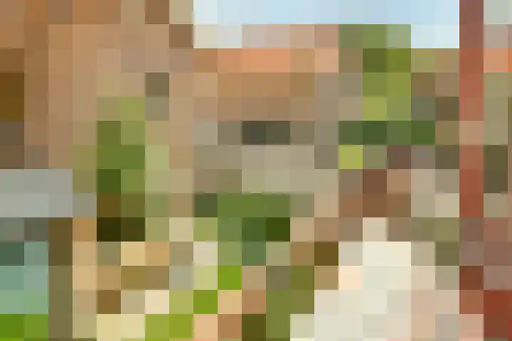 Ranonkelkade 6 B Amsterdam thumbnail 7