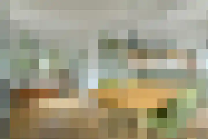 Ranonkelkade 6 B Amsterdam thumbnail 8
