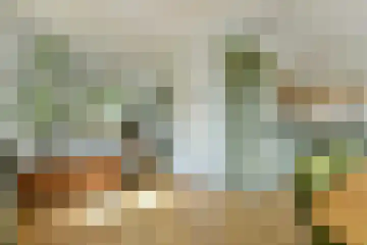 Ranonkelkade 6 B Amsterdam thumbnail 9