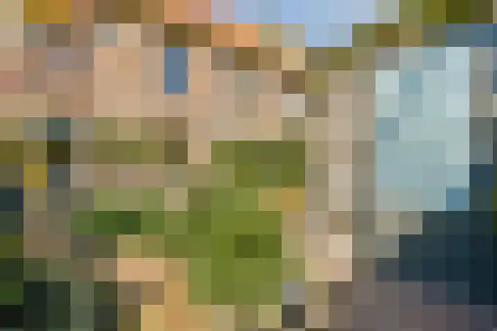 Ranonkelkade 8 A Amsterdam thumbnail 12