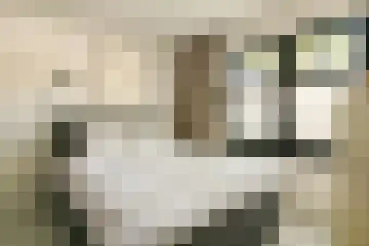 Ranonkelkade 8 A Amsterdam thumbnail 13