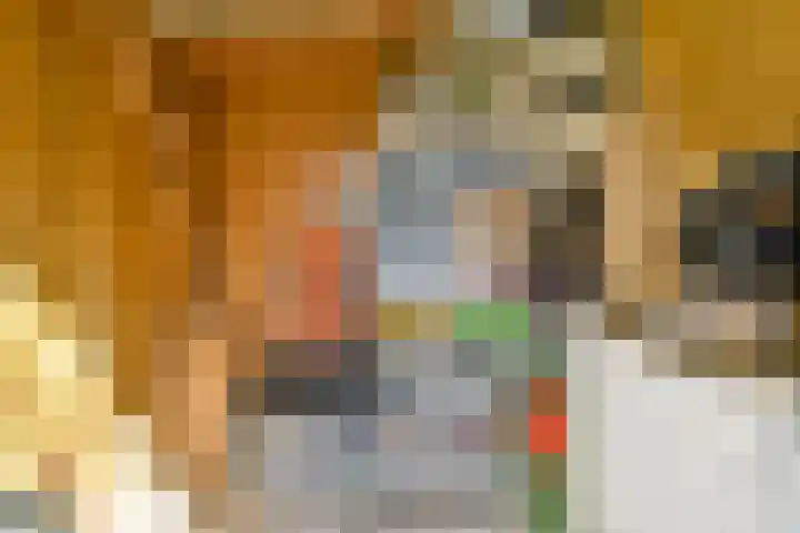 Ranonkelkade 8 A Amsterdam thumbnail 17