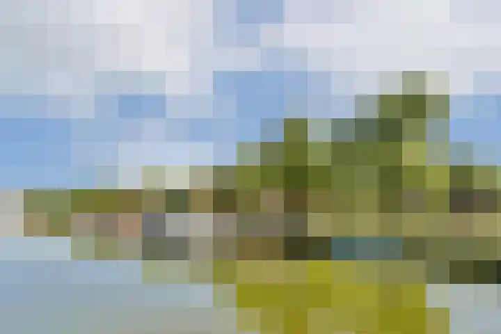 Ranonkelkade 8 A Amsterdam thumbnail 23