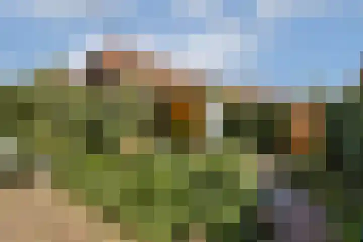 Ranonkelkade 8 A Amsterdam thumbnail 5